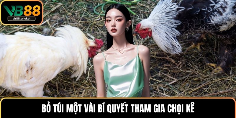 Bỏ túi một vài bí quyết tham gia chọi kê
