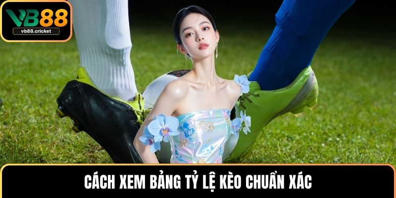 Cách xem bảng tỷ lệ kèo chuẩn xác