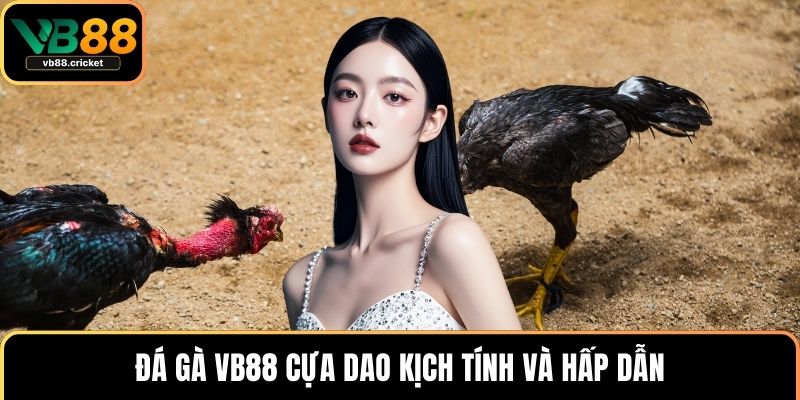 Đá gà VB88 cựa dao kịch tính và hấp dẫn