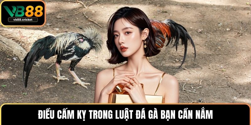 Điều cấm kỵ trong luật đá gà bạn cần nắm
