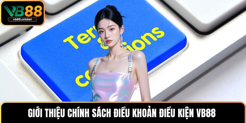 Giới thiệu chính sách điều khoản điều kiện VB88 