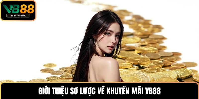 Giới thiệu sơ lược về khuyến mãi VB88