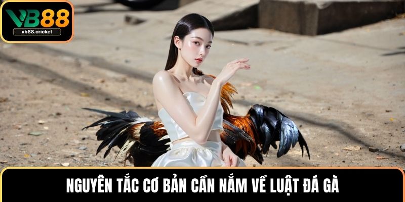 Nguyên tắc cơ bản cần nắm về luật đá gà
