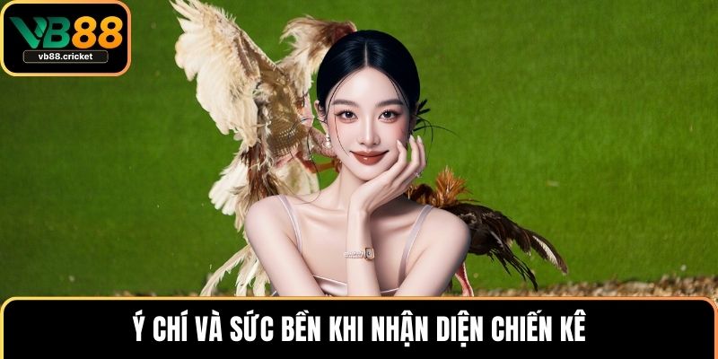 Ý chí và sức bền khi nhận diện chiến kê