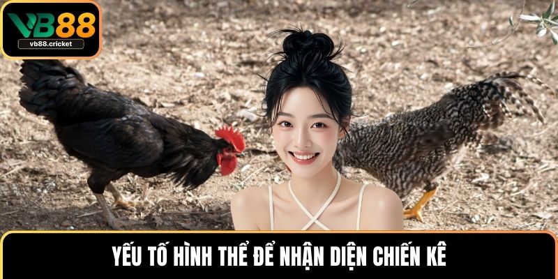 Yếu tố hình thể để nhận diện chiến kê